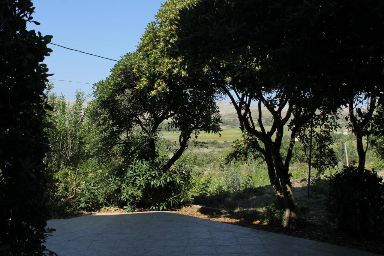Family Friendly Seaside Apartments Vlasici, Pag - 4319 Exterior photo