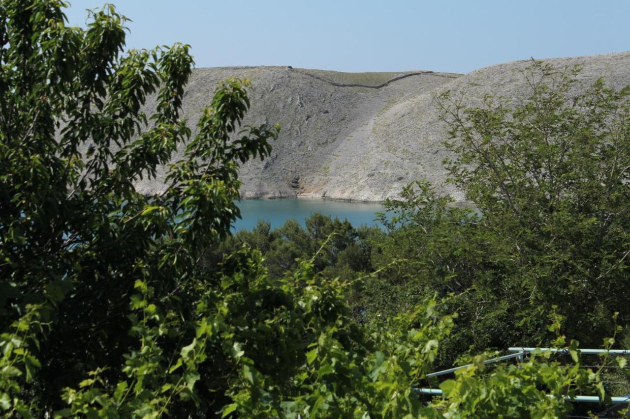 Family Friendly Seaside Apartments Vlasici, Pag - 4319 Exterior photo
